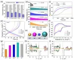 Greeshma's 2nd paper in a month published in Energy Storage Materials (IF 18.9)